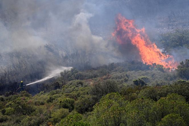actualités : une femme impliquée dans un incendie dans l’aude suscite une réaction du président macron. découvrez les détails de cet événement et les mesures prises par les autorités.