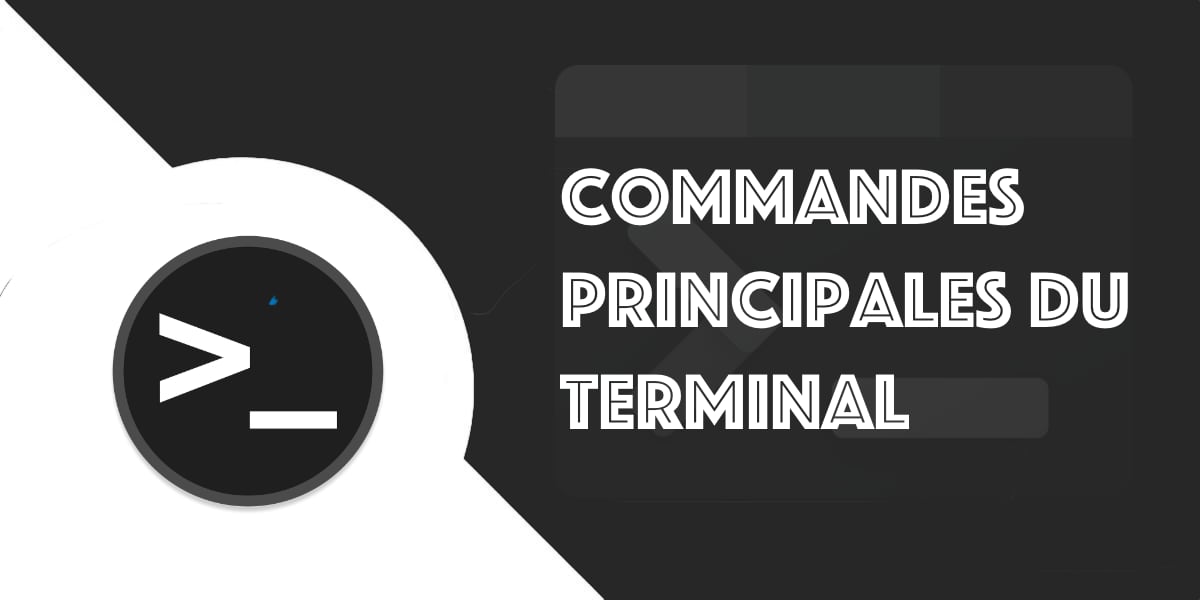 découvrez les commandes essentielles à connaître pour maîtriser rapidement votre outil ou application et améliorer votre efficacité au quotidien.
