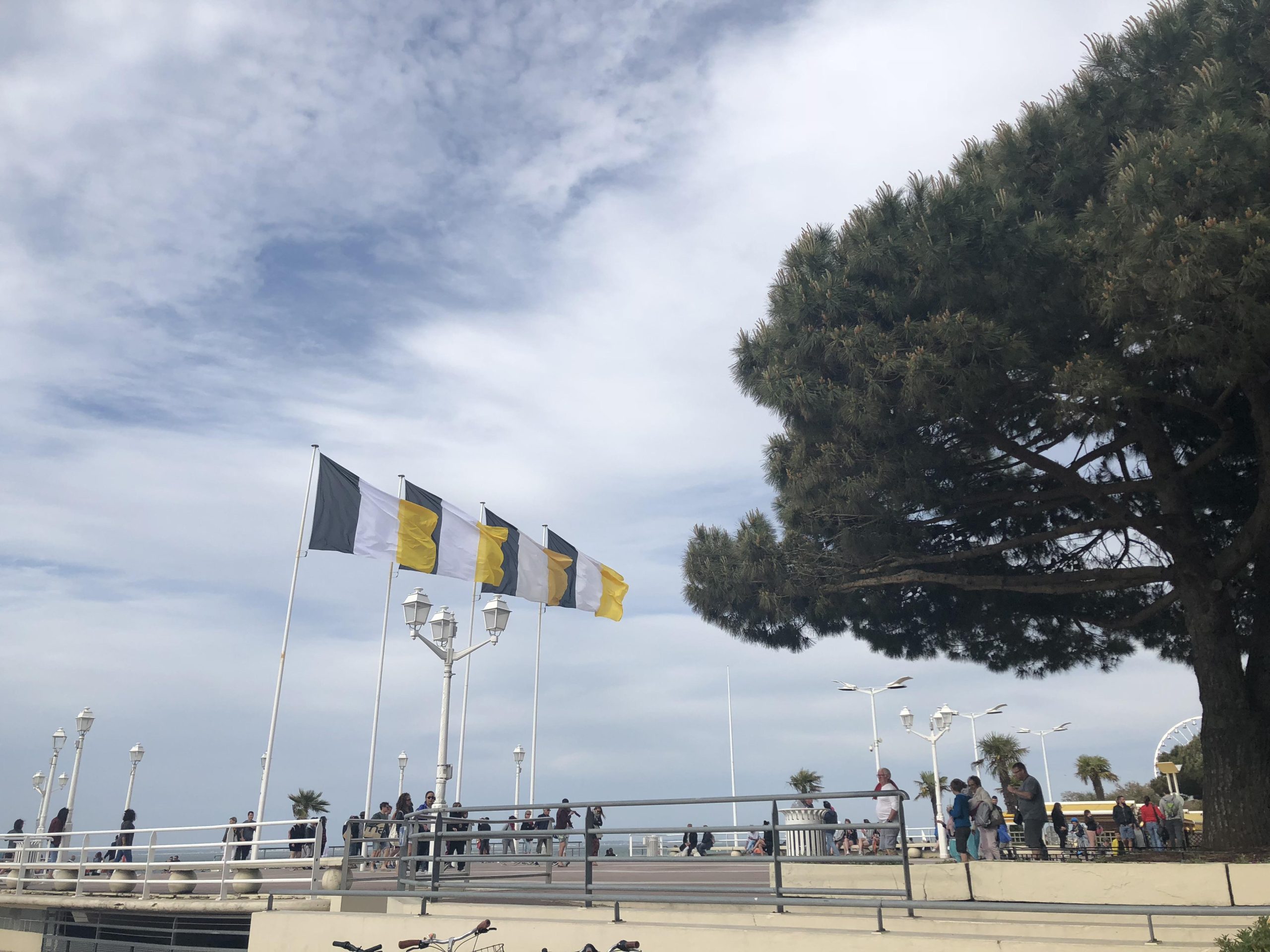 découvrez l'histoire et la symbolique du drapeau jaune et bleu, ses origines et ce que ces couleurs représentent à travers le temps.