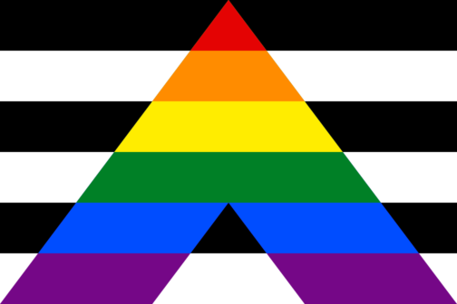 découvrez l'origine et la signification du drapeau hétérosexuel, un symbole représentant la fierté et l'identité hétérosexuelle.