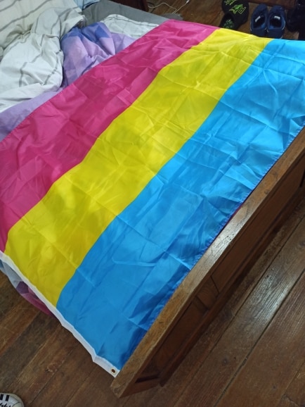 découvrez l'origine et la signification du drapeau pansexuel, symbole de fierté et d'inclusion pour la communauté pansexuelle.