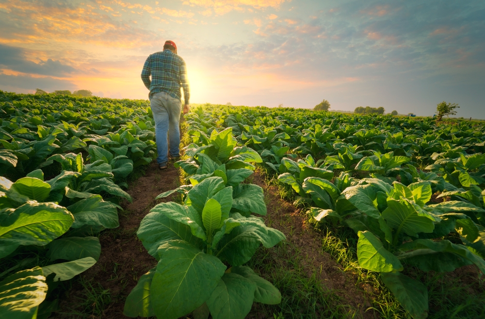 la commission européenne renforce son soutien à l'agriculture biologique pour promouvoir des pratiques durables et respectueuses de l'environnement.