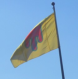 découvrez l'histoire et la signification du drapeau de l’auvergne, symbole fort de cette région riche en traditions et en culture.