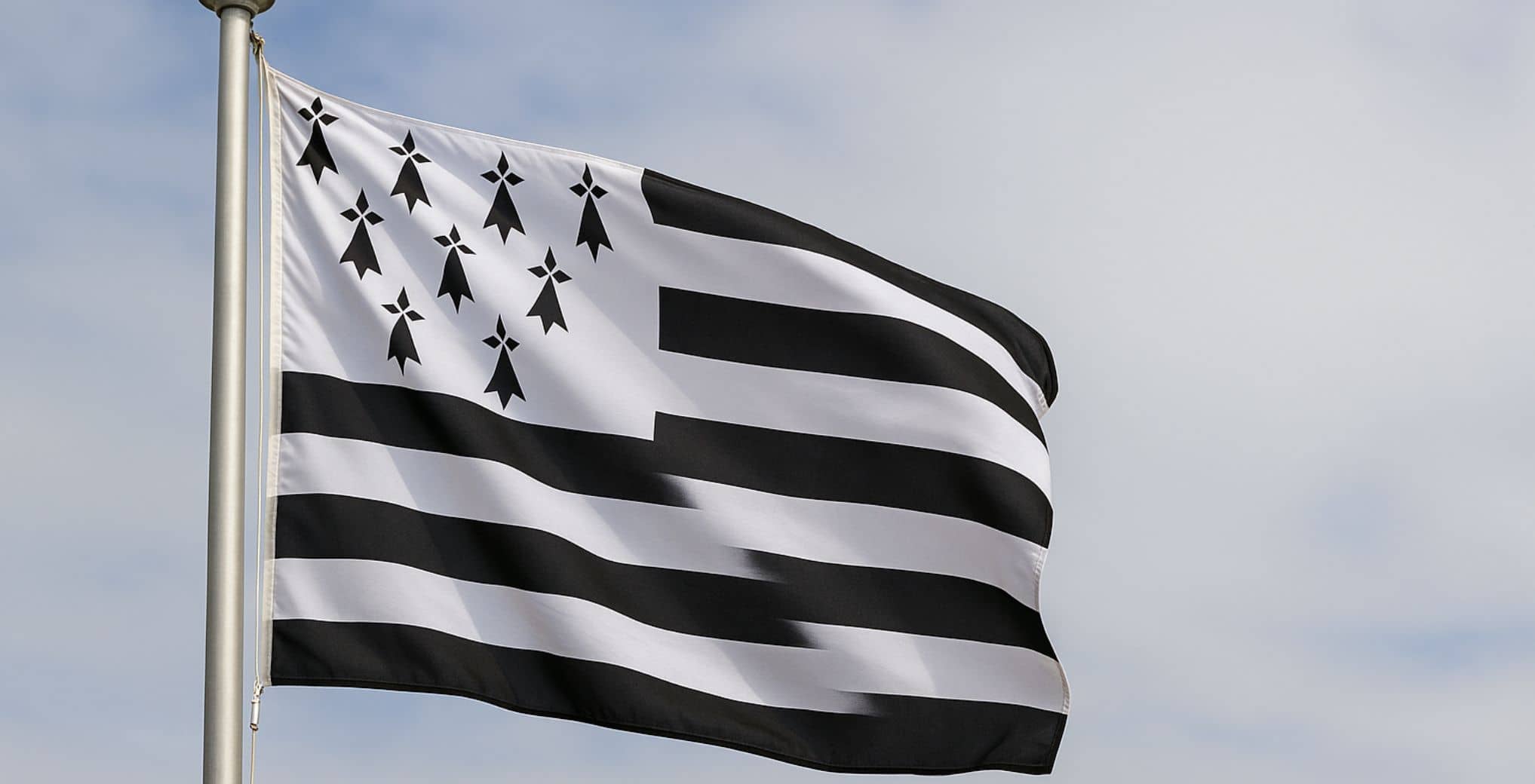découvrez la signification et l'histoire du drapeau noir et blanc, un symbole puissant aux origines variées et aux messages multiples.