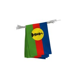découvrez l'histoire et la symbolique du drapeau kanak, un emblème fort de l'identité et de la culture du peuple kanak en nouvelle-calédonie.