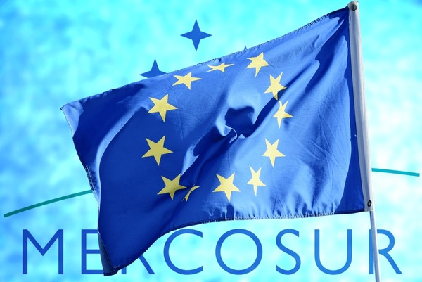 découvrez l'histoire et la signification des drapeaux d’amérique du sud, symboles riches en culture et en identité nationale.